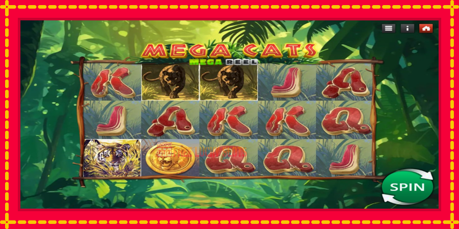 Mega Cats Mega Reel: สล็อตแมชชีนพร้อมกราฟิกที่ทันสมัย, รูปภาพ 2