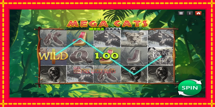 Mega Cats Mega Reel: สล็อตแมชชีนพร้อมกราฟิกที่ทันสมัย, รูปภาพ 3