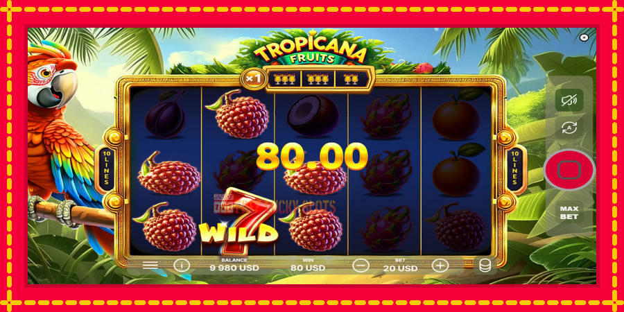 Tropicana Fruits: สล็อตแมชชีนพร้อมกราฟิกที่ทันสมัย, รูปภาพ 3