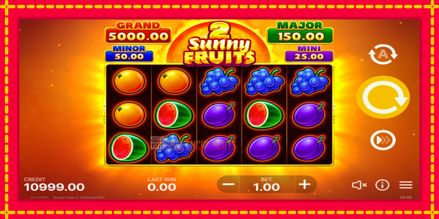 Sunny Fruits 2: Hold and Win: สล็อตแมชชีนพร้อมกราฟิกที่ทันสมัย, รูปภาพ 2