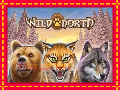 Wild North - อัตโนมัติด้วยกลไกที่น่าสนใจ